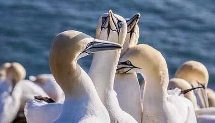 苍南最新公积金卡提取现金操作及规定方法分析(最方便真实的苍南公积金卡提取现金操作及规定是什么方法)